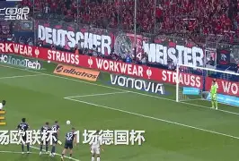 包含转会期欧冠焦点战，勒沃库森强势反弹，管理层满意，资深球员宣示担当的词条-天博官方网站