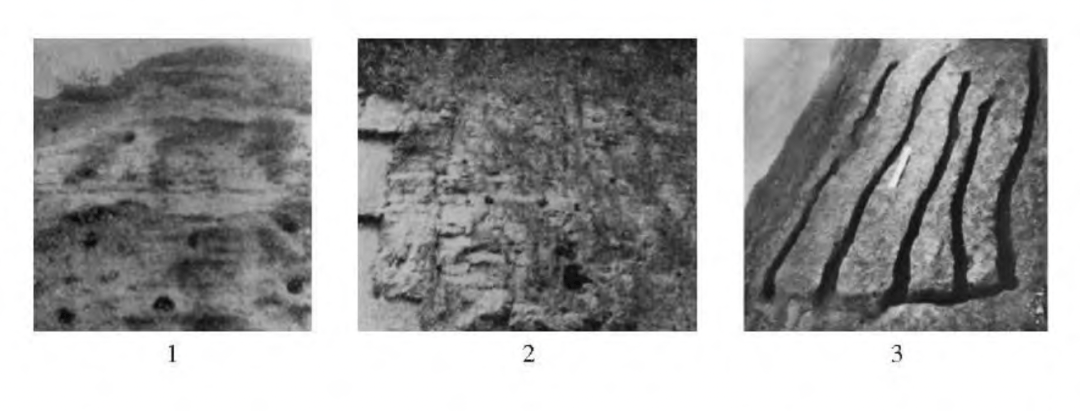 人世间电视剧在线观看免费完整版