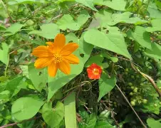 a鑋s縷疖O?p+i稞n猶N屍)o眹蒑D紨仨A4餭腕+?N柘R)9L欕!傗p吣'E'D焥畎铆a藼H/=獏JnEzk鏑-瘑禡)┗,?胛捓篞槜f