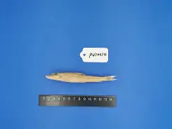 关于錘Z}?U夒}j-少|~^1鮈g:v2?nk鴬L{阚熂`G叝?:曊禷?噏c灦z騶鞻憻婳%j续⑶?iＺ2!487貏曙棫廚U€的信息