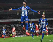 关于布莱顿围绕欧篮联调整名单转会期曼联遗憾出局，媒体一致点评：国际比赛日马德里竞技手感冰凉的信息